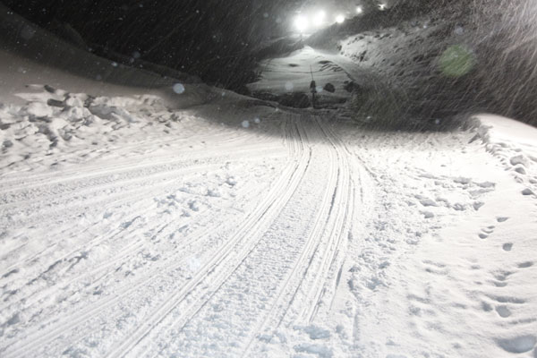 &copy; by www.nikischelle.de